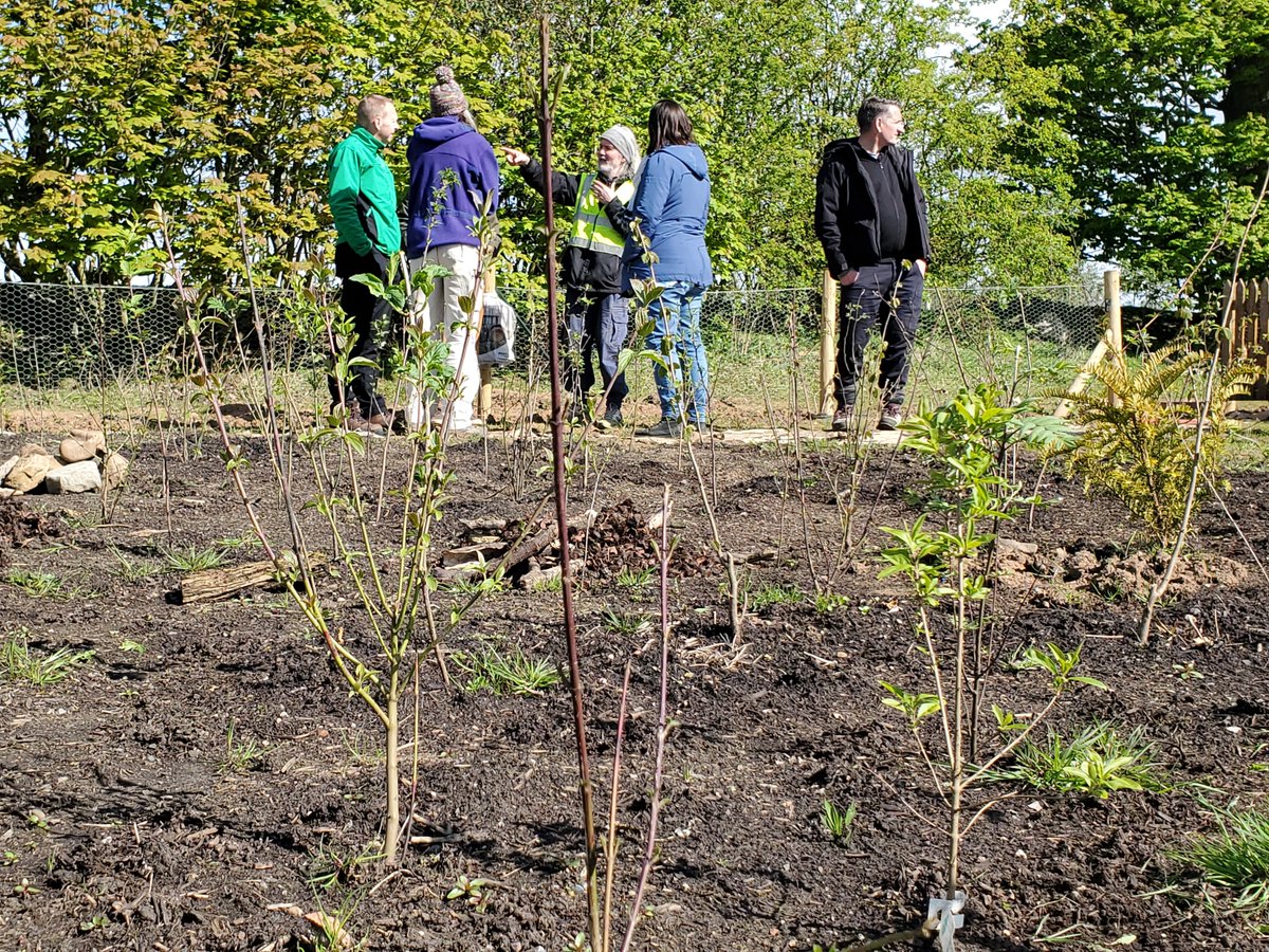 Today we visited York's first tiny forest, an excellent joint effort between @UniOfYork, @TreemendousYork, @GoodGymYork and Betterworld tree planting.