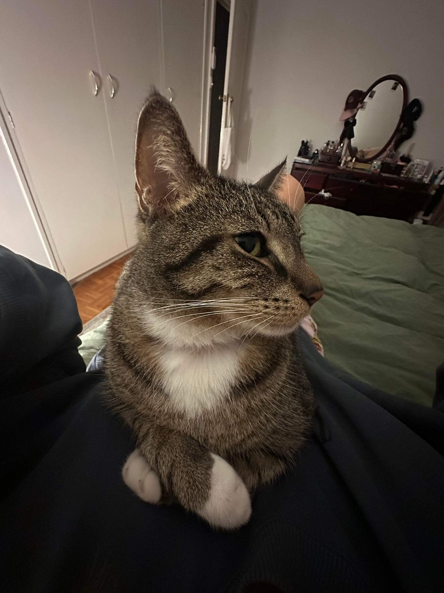 infinity_285's tweet image. I love him so much