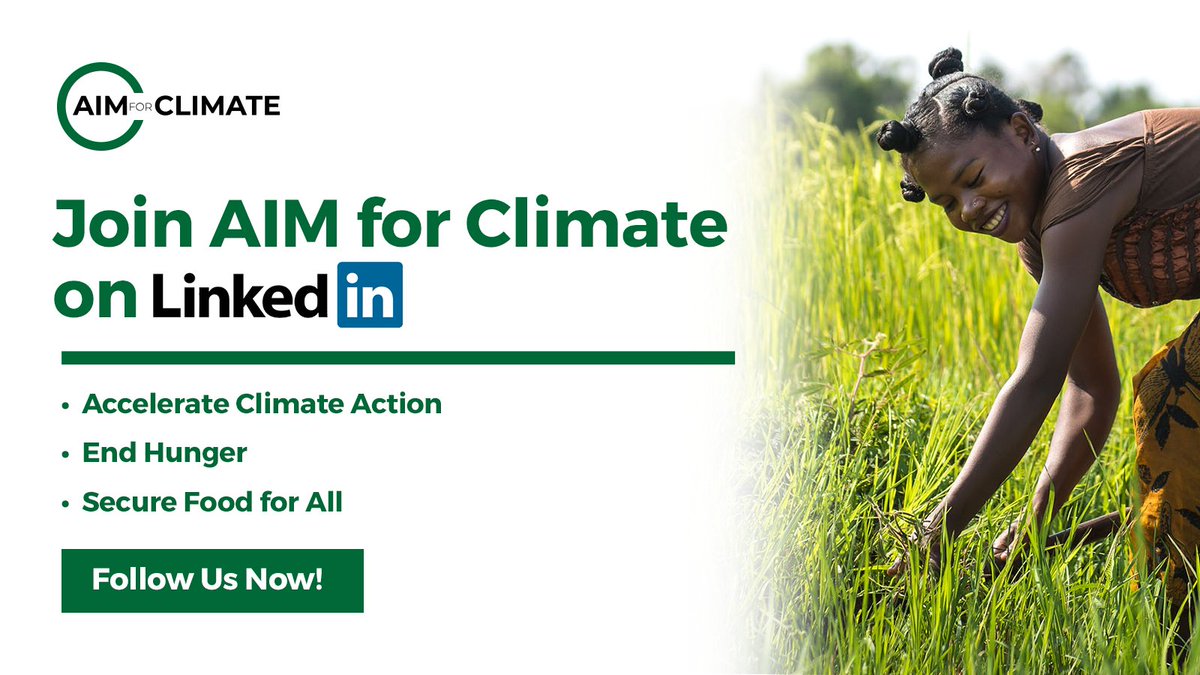 Ready to transform agriculture and food systems innovations for a sustainable future?🌱🌍 Join us on LinkedIn and be part of a community dedicated to accelerating #ClimateAction, ending hunger, and securing food for all. Follow #AIMforClimate now ➡️bitly.ws/3ibT9