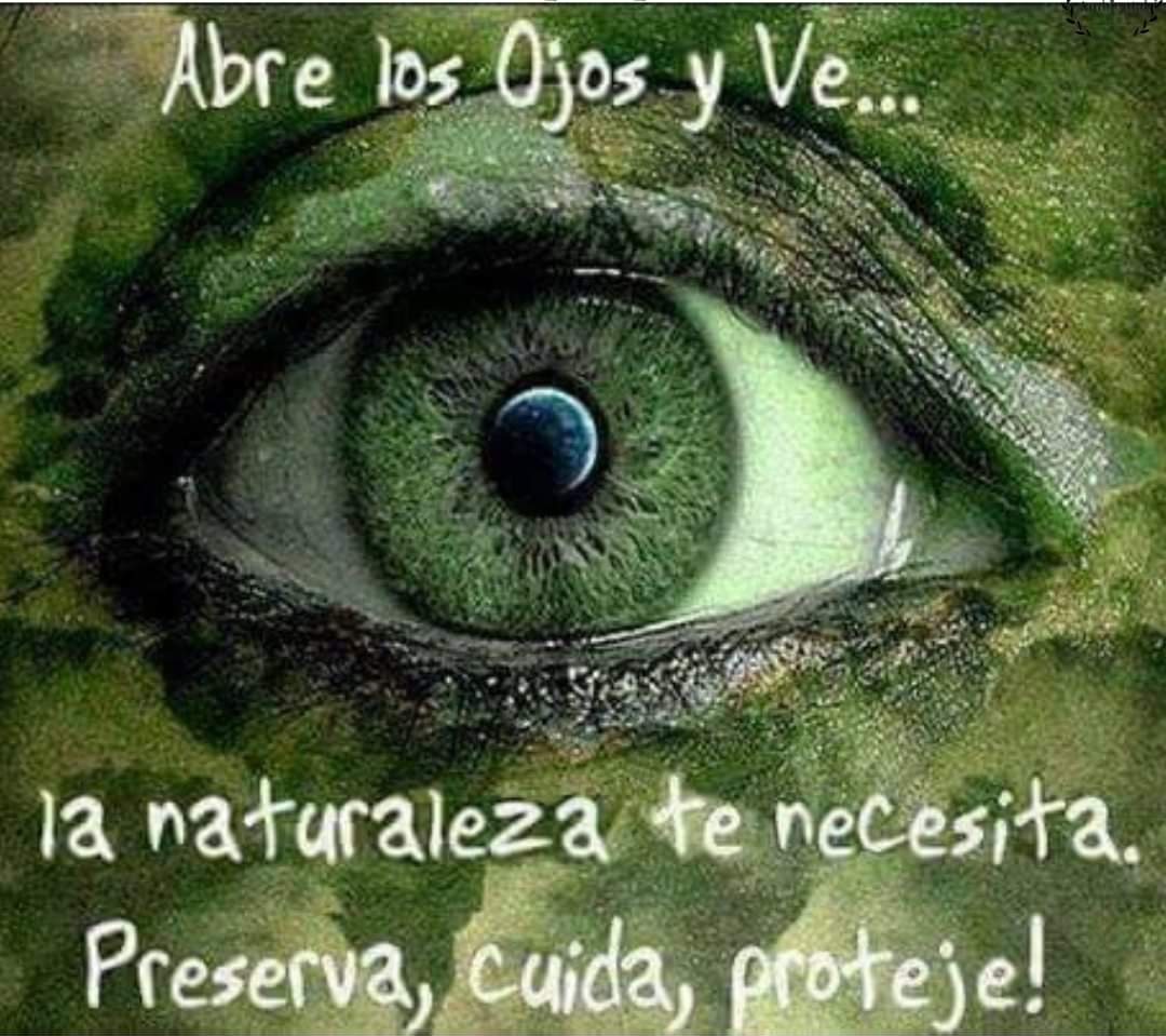 Marlenetica's tweet photo. Preserva, cuida, protege ... 
#Captas https://t.co/dwIj17GeT7