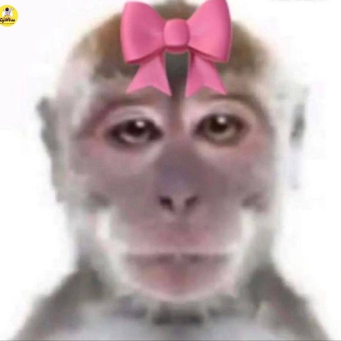 kokwet kokwet #NewProfilePic