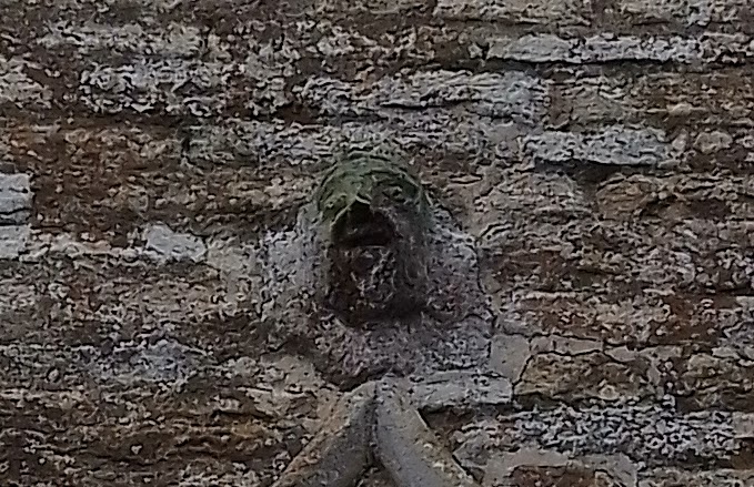 phil0073's tweet photo. Detail of Window Apex carving (2023) #PhilOnaBike #WindowsOnWednesday #StoneworkSunday #Februaryfaces #StLeonardsHardwick https://t.co/I28lGxAfBk