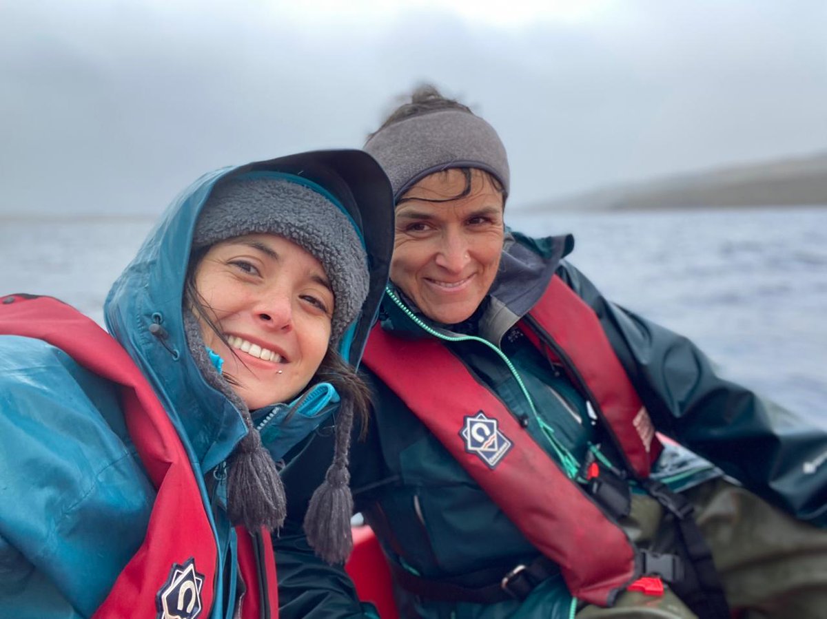 Elvira de Eyto tweet media