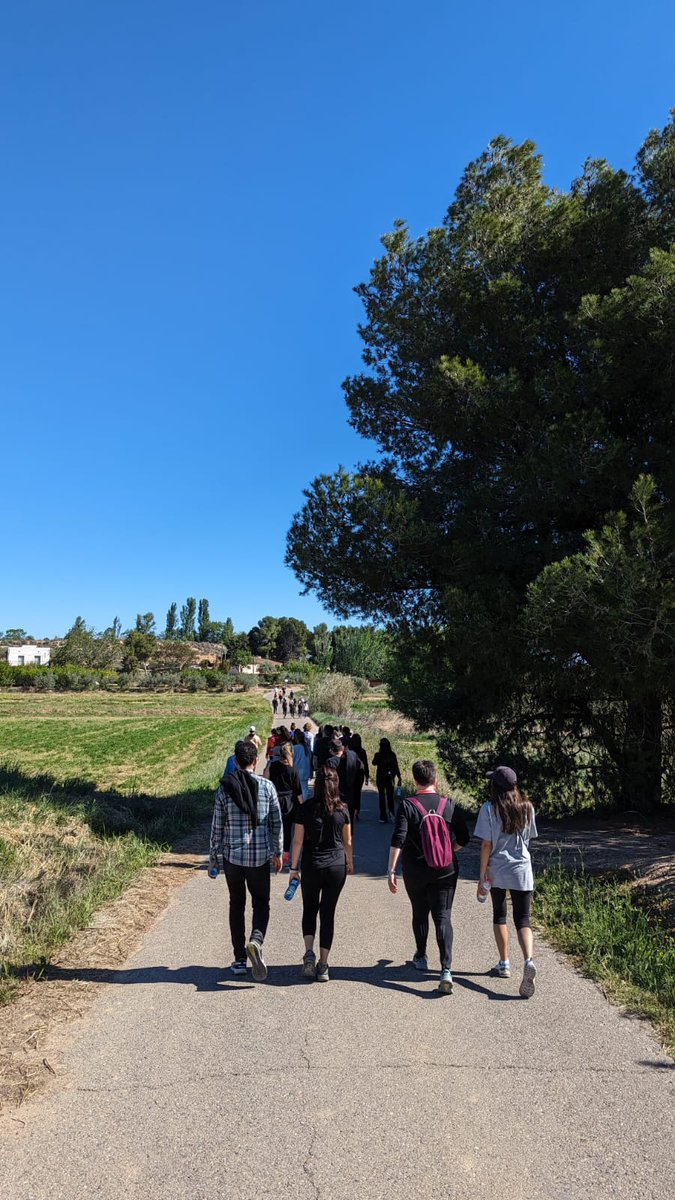 paerialleida's tweet photo. El regidor d’Esports saluda els participants i organitzadors de la marxa nòrdica amb interns del Centre Penitenciari Ponent, que s’uneix a les 6 marxes impulsades per la Conselleria de Justícia, a tot Catalunya, amb motiu del Dia Mundial de l’Activitat Física.
#Lleida #Activitat https://t.co/rKAFxrrViW