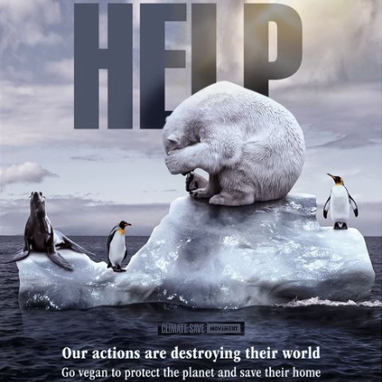 Animal agriculture contributes 32% of global methane emissions. Methane, with a warming potential 84 times that of carbon dioxide over 20 years, is driving the #climatecrisis and literally melting the home of some animals.😢 Save #wildlife, #GoVegan.🌱