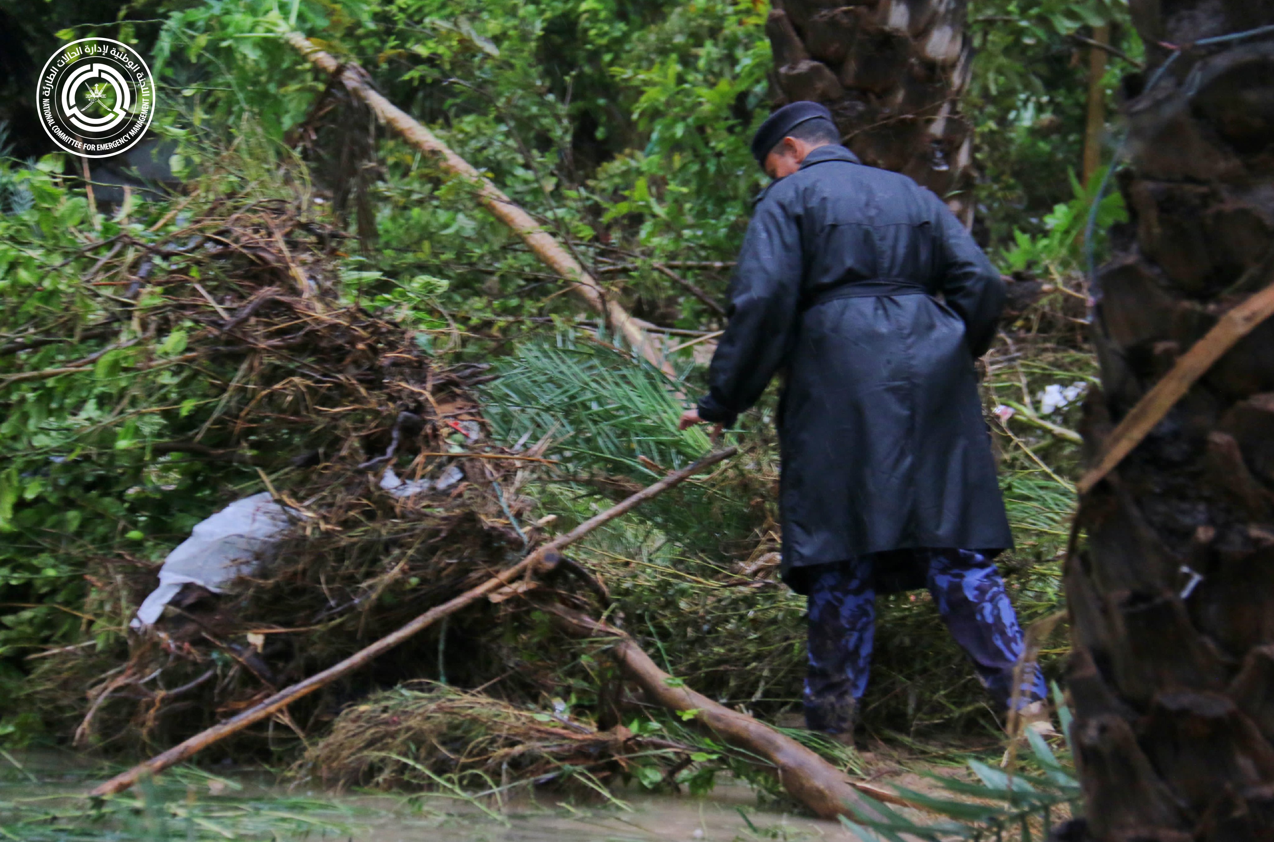 التقاطة تظهر جانب من جهود الجهات المعنية في البحث عن المفقودين 