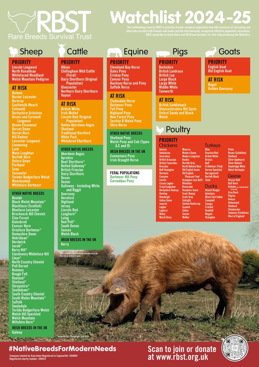 The 2024-25 RBST Watchlist is now available!!! You can view all Watchlist info & download a copy here: rbst.org.uk/watchlist-over… Should you have any questions or queries relating to the Watchlist, please email: enquiries@rbst.org.uk #RBSTWatchlist24