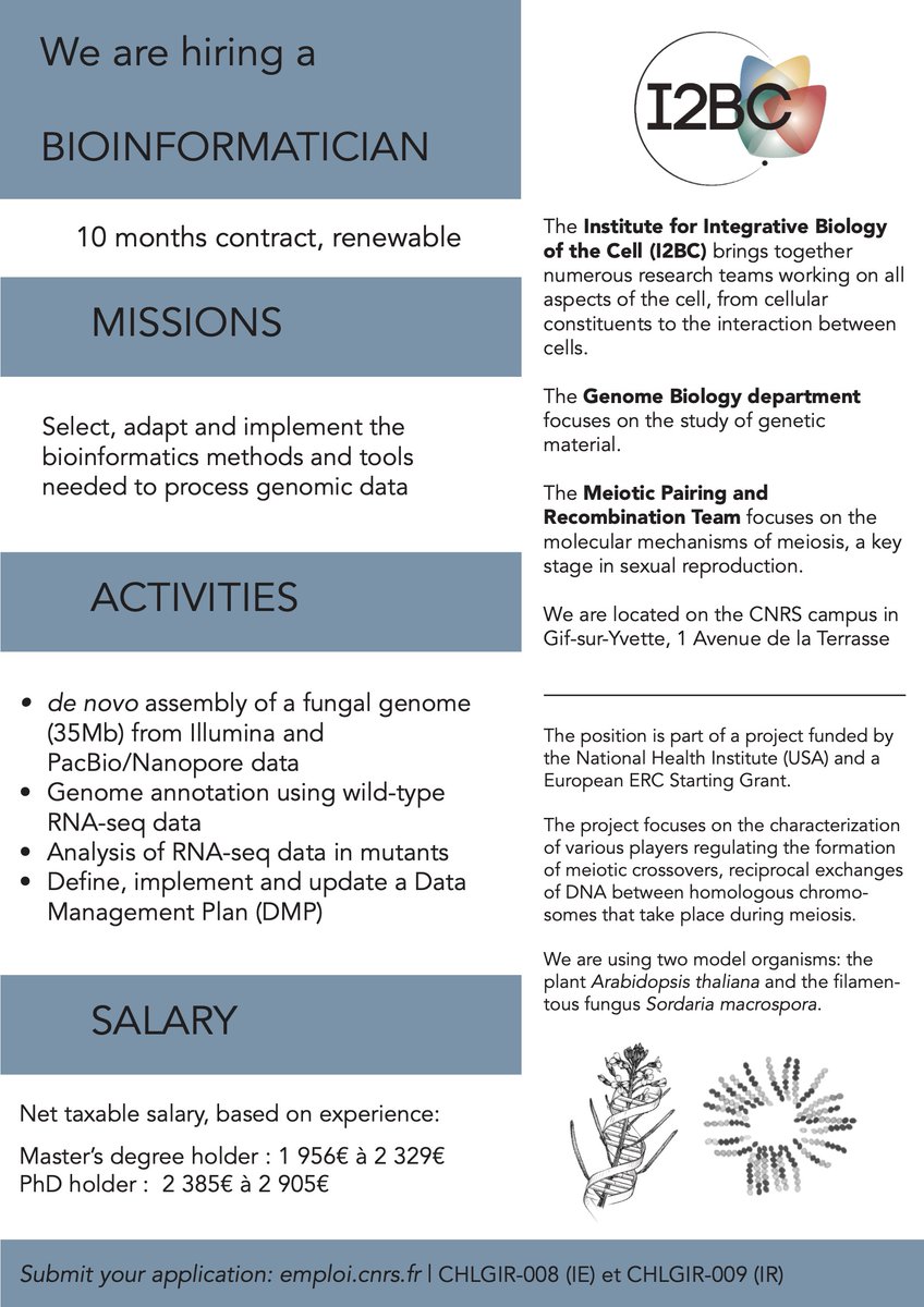 Bonjour à tous ! Nous recherchons un-e bioinformaticien-ne pour un contrat de 10 mois (potentiellement renouvelable) au 01/06 ! Au menu : assemblage et annotation de génomes, analyses de RNAseq Niveau Bac +4/5 : emploi.cnrs.fr/Gestion/Offre/… Niveau Bac +6/8: emploi.cnrs.fr/Gestion/Offre/…