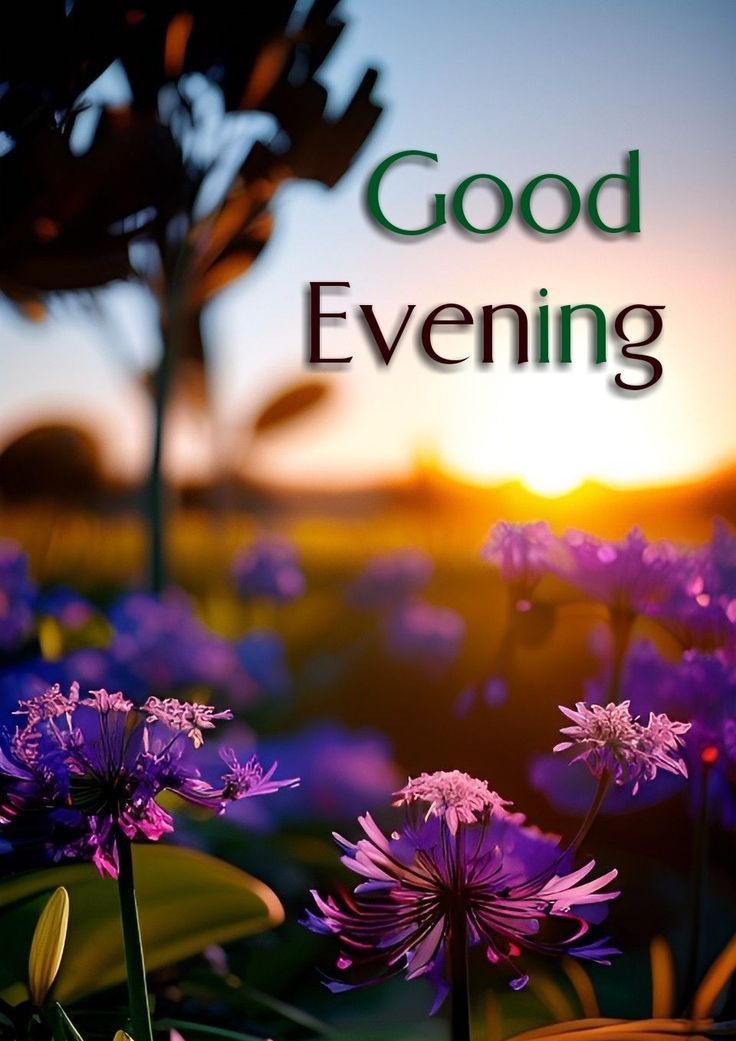 1Jasmine0's tweet photo. Your evening should be pleasant and pleasurable. Looking forward to meeting you. 🌻✅

Good Evening Everyone 💰💞🌸🥀 https://t.co/0H6TgnwejU