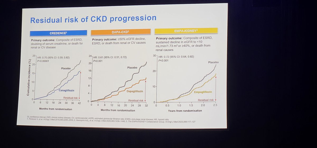 Our biggest advance...but not the end of the story says Dr Kieran Mcafferty.....what's next for DKD and how do we chip away at residual risk #SGLT2i #KidneyDisease #Finerone #diabetes #kidneyhealth #type2diabetes #chronickidneydisease @DUK_research @Kidney_Research
