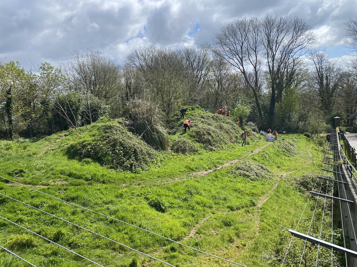 Benjamin Mee tweet media