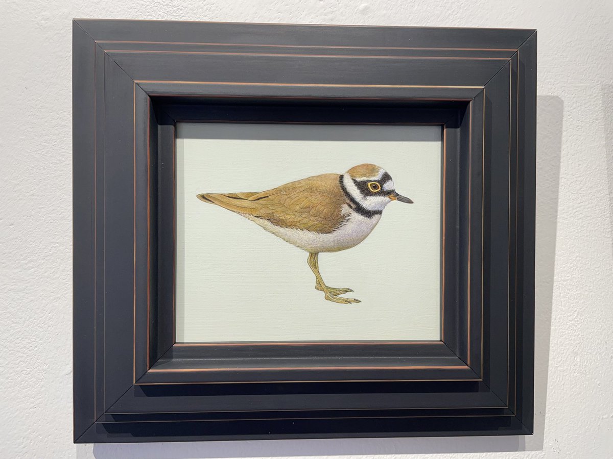 Just delivered to Rye Art Gallery today as part of our Spring Exhibition - three beautiful new pieces by Christopher James - #ryeartists @christopherjamesartist #birdpaintings #feathers @ryeartgallery #springexhibition