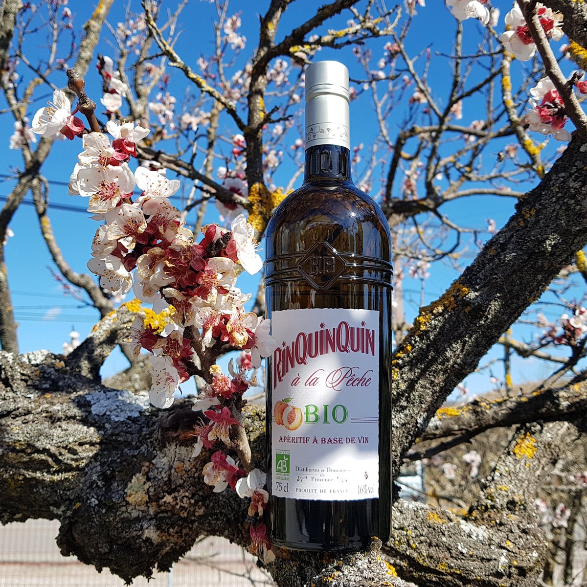 RinQuinQuin means ‘a refreshing drink’ in Provençal. A surprising mix of peaches, peach leaves picked in the autumn, sugar and white wine. RinQuinQuin is a smooth and delicate aperitif based on a family recipe, with the finishing touches by Distilleries &amp; Domaines de Provence.