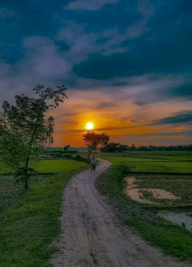 shayar00123's tweet photo. तेरी खुशबू ,तेरी चाहत , तेरी यादें लाएं हैं ,

आज फिर से  मेरे गांव में  बादल आए हैं ।। https://t.co/LpxRISRN9a