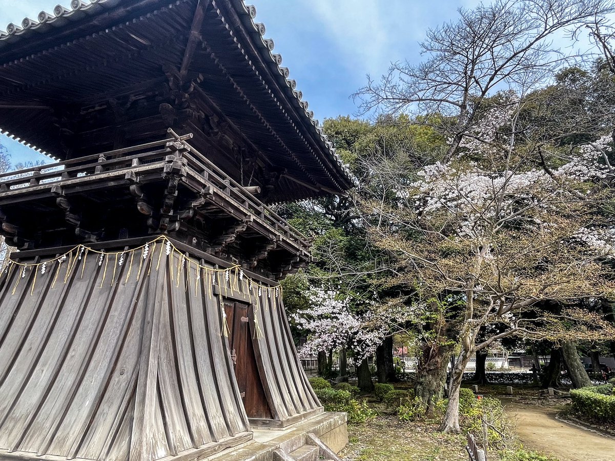 sunnonkai_tw's tweet photo. 足利氏館（鑁阿寺、栃木県足利市）
4月7日、桜🌸は満開でした。
中世の方形居館跡。日本100名城の一つです。真ん中には巨大な銀杏の木があります。枝垂れ桜も見事。無料駐車場あり。見学30分。
#城 #栃木県 #足利市 #足利氏館 #鑁阿寺 #桜 #cherryblossom https://t.co/Msq1tNaIXN