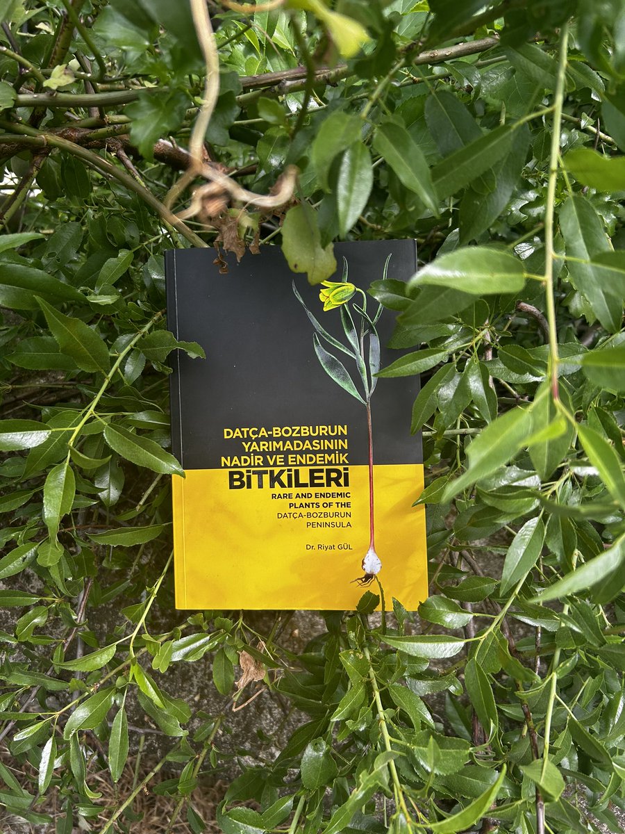 Bu pazar, Bunko'da çok özel bir etkinliğe ev sahipliği yapıyoruz!

📆 Tarih: 21 Nisan Pazar
🕐 Saat: 13:00
📍 Yer: Bunko Bookshop, İskele Mah. Ambarcı Cad. No: 31/A (Pazar girişindeki Aydem'in karşısı)