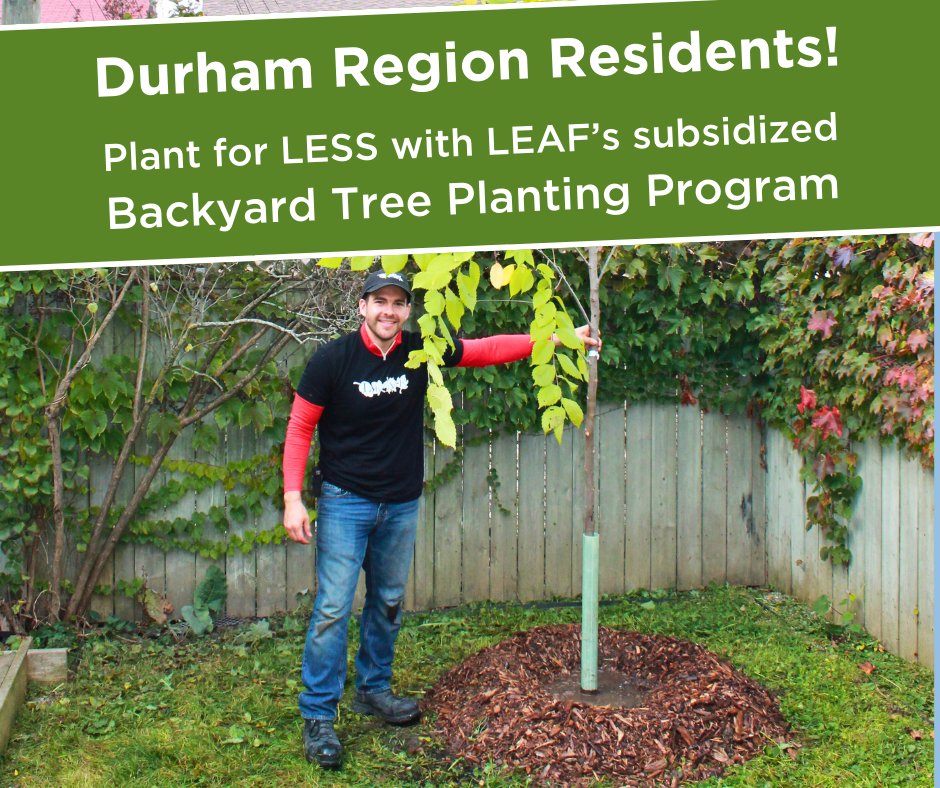 📢 Attention @RegionofDurham homeowners! Help make Durham Region greener this spring by planting a tree through the Backyard Tree Planting Program! 🌳 Beautify your yard while enjoying benefits like shade, privacy, cleaner air and MORE! Apply now: yourleaf.org/homeowners