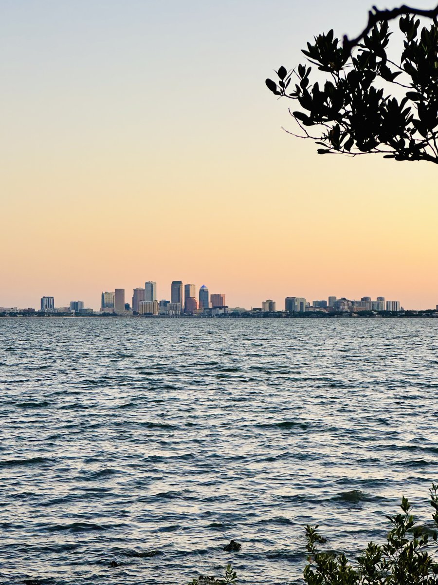 Tampa is glowing! #loveyourlife #changeyourlife #luckygirl #abileads #CrazyConfident #baylife #tampa #tampabae #tampabay #tampaphotography #beinspired #beauty #LifeAfterLeapingIn #relocation #goodvibes #gratitude #gulfviews #happiness  #sunrise  #ballastpojnt