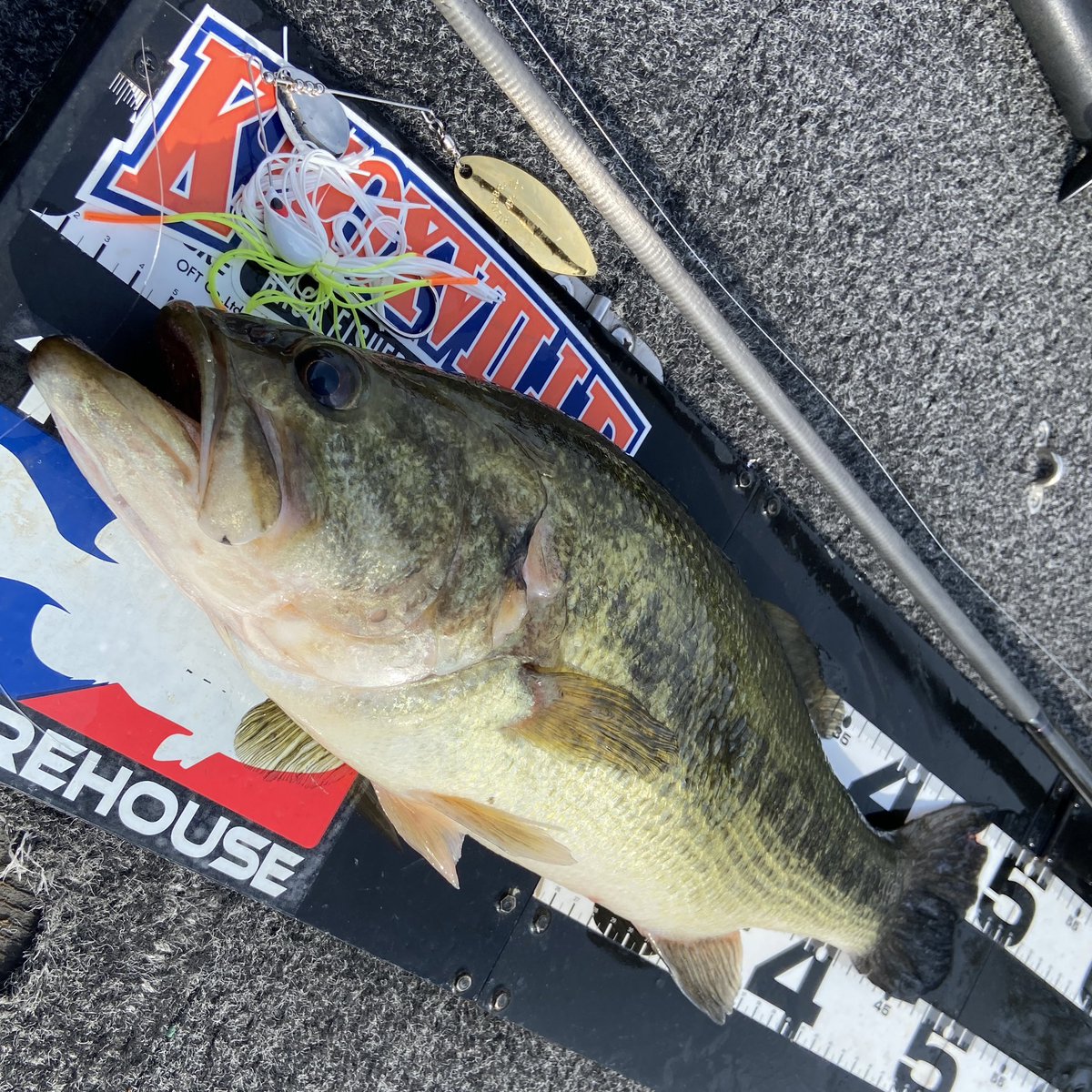 kntm_onthewater's tweet photo. TEAM OUTBACK Spinnerbait TW

ショートディスタンスでバンク際にタンデムウィローを撃っていく春。興奮します。興奮しすぎてメジャーズレまくりスミマセンw

#teamoutback 
#teamoutbackspinnerbait https://t.co/fynXhfjqv8