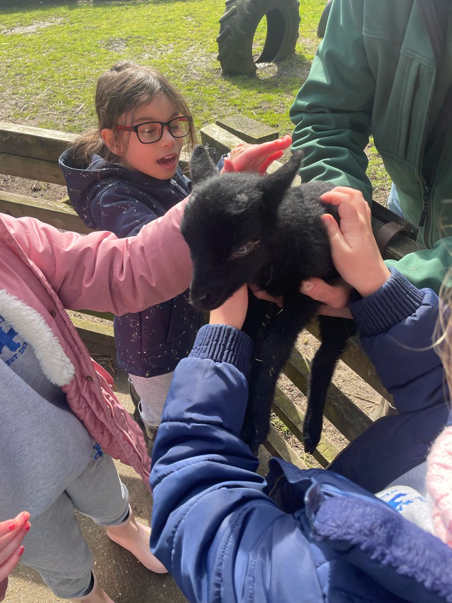 stmarys_CofE's tweet photo. What a fantastic morning we have had thank you @CroxtethFarm https://t.co/oL9BzDmJHV
