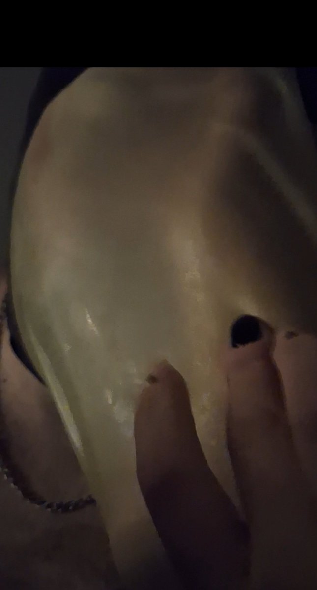 Perfectsize61's tweet photo. One of the best things I have purchased . Latex Foot hood . Slave trapped inside and forced to smell and worship my sweaty feet . They get very sweaty in the hood . #footsmother #latexhood #footworship #footslave #sweatyfeet #footfetish #soles #footjob https://t.co/rIok9Dedee
