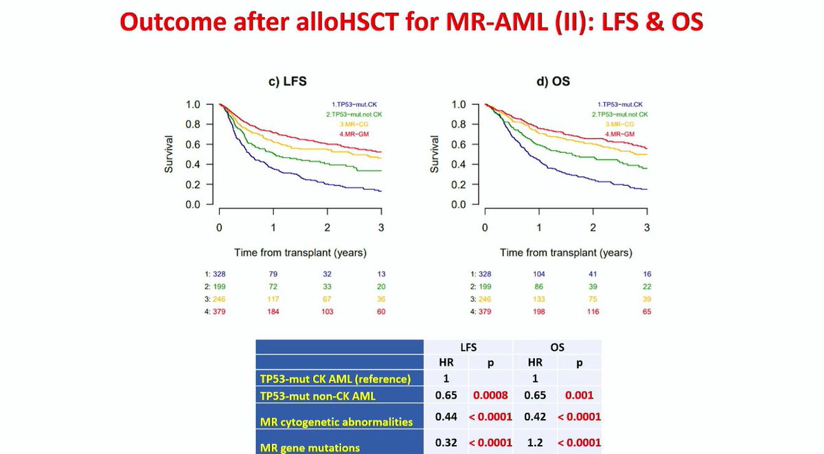 CONGRESS | #EBMT24 Arnon Nagler, @nagler_EBMT delivers an interesting presentation on the validation of the ICC 2022 classification in AML patients with myelodysplasia-related changes who are undergoing allo-HSCT from the ALWP of the EBMT. @TheEBMT #leusm #MedicalCongress
