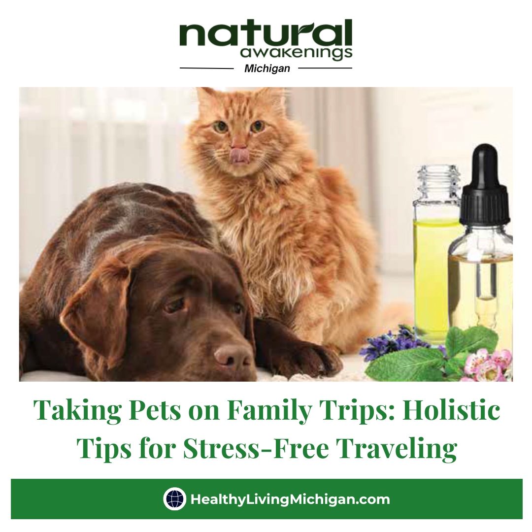 Taking Pets on Family Trips: Holistic Tips for Stress-Free Traveling  healthylivingmichigan.com/2024/03/29/485… 

#pets #dogs #cats #familytrips #stressfree #travelling #annarbor #detriot #traversecity #lansing #michigan