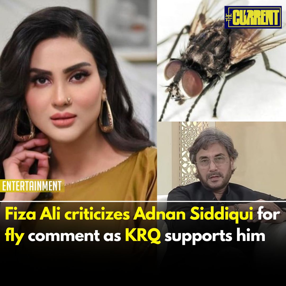 TheCurrentPK's tweet image. Actor Adnan Siddiqui faced a lot of criticism after making a comment comparing women to house flies on TV

#FizaAli #Criticizes #AdnanSiddiqui #FlyComment #KRQ #TheCurrent

thecurrent.pk/fiza-ali-criti…
