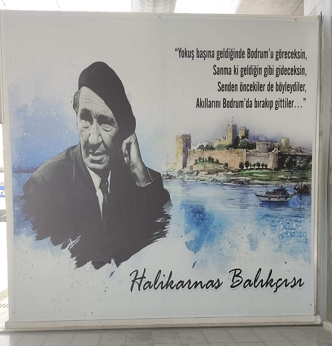 #HalikarnasBalıkçısı Bodrum sana minnettar be balıkçı... 🕊️❤️ #Perletti #paobc #SONDAKİKA #paobc