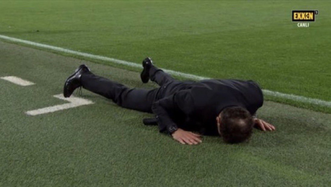 Reece Donnelly tweet media