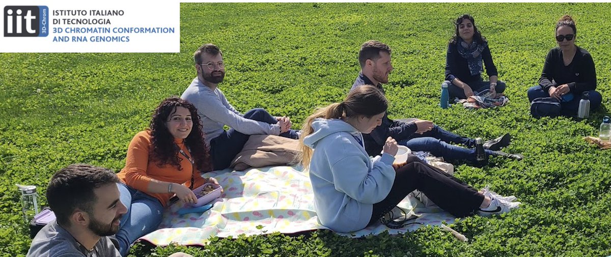 📢 I am hiring a bioinformatician postdoc! If you are interested in chromatin, epigenetics and non-coding RNAs come join my team @IITalk in Genova. Join us if you want to do great science and amazing picnics with a seaview 🌊digiammartinolab.com/open-positions 🔥