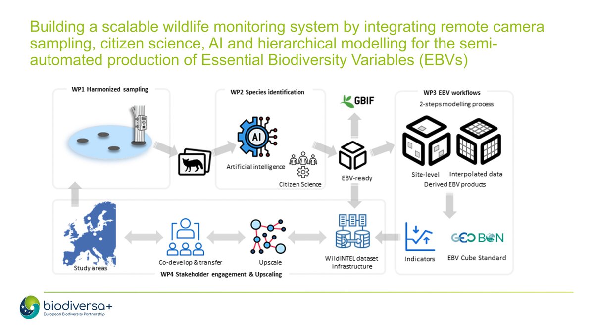 BiodiversaPlus tweet picture