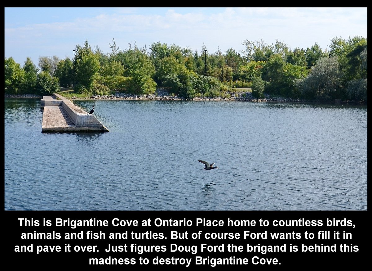Day 509g of our pictures & the Doug Ford urban sprawl must be stopped. Let's finish this with protecting all our #Greenbelt from #Hwy413 the Bradford Bypass & save #OntarioPlace. #DougFordisaLiar & the #RCMP investigation continues.@ONPlace4All #topoli #onpoli @envirodefence