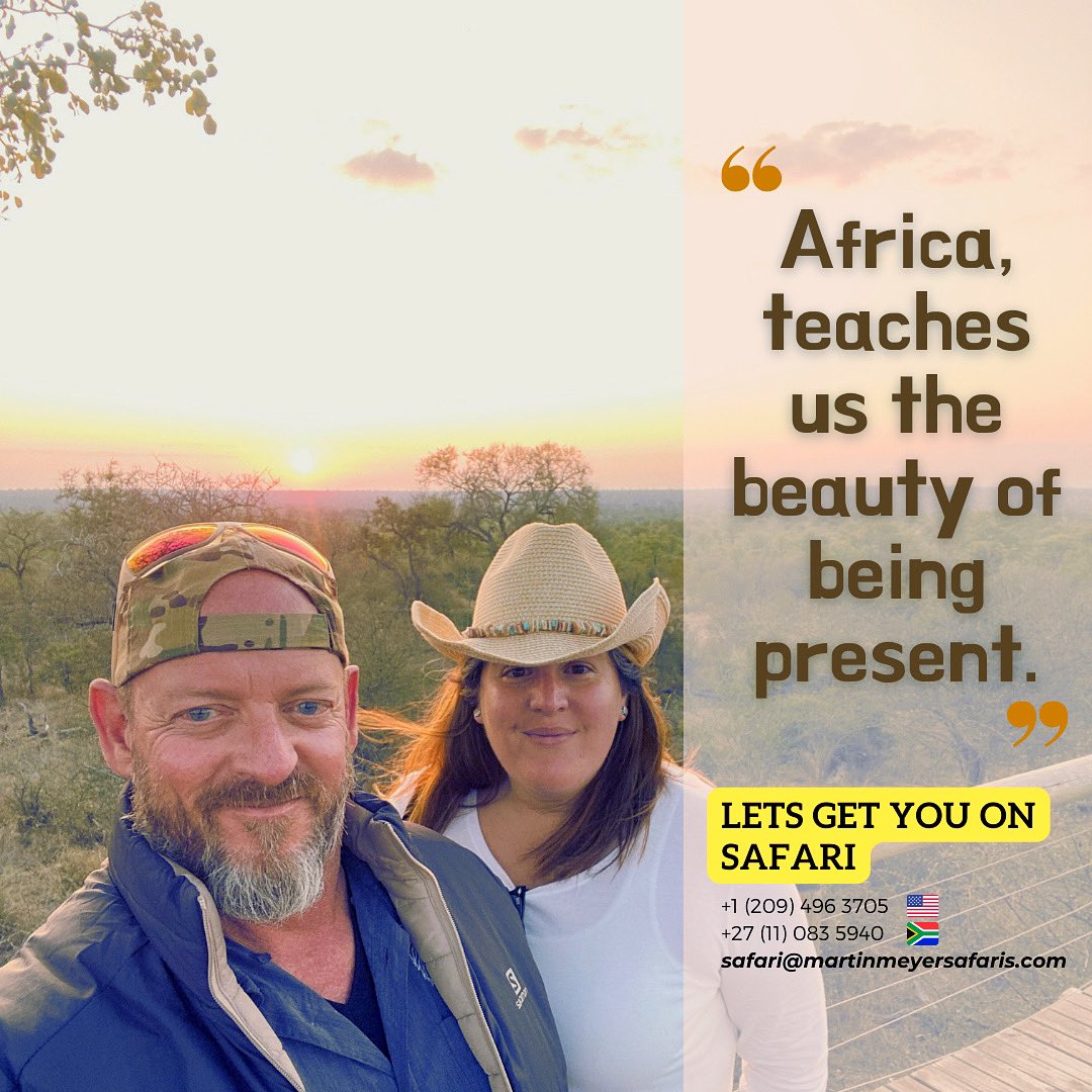 Not sure where your next safari should be? Let’s help you plan your next bucket list adventure to Africa. 🔗martinmeyersafaris.com #Africa #travelspecialists #welivehere #safari