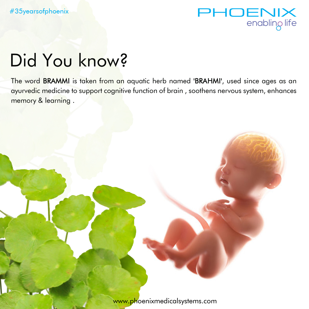 INTERESTING FACT ON BRAMMI