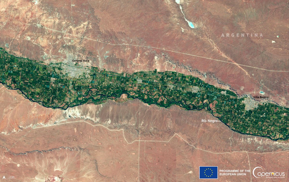 #Copernicus #OpenData benefits 🌽Precision farming activities 🗺️Seasonal crop mapping 🌧️Water and drought monitoring and supports EU policies to promote the development of environmentally friendly practices #Sentinel2 🇪🇺🛰️ image of crops near Rio Negro, Argentina