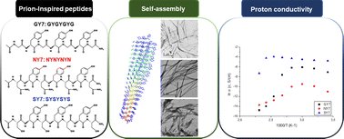 Harnessing prion-inspired amyloid self-assembly for sustainable and biocompatible proton conductivity pubs.rsc.org/en/Content/Art…