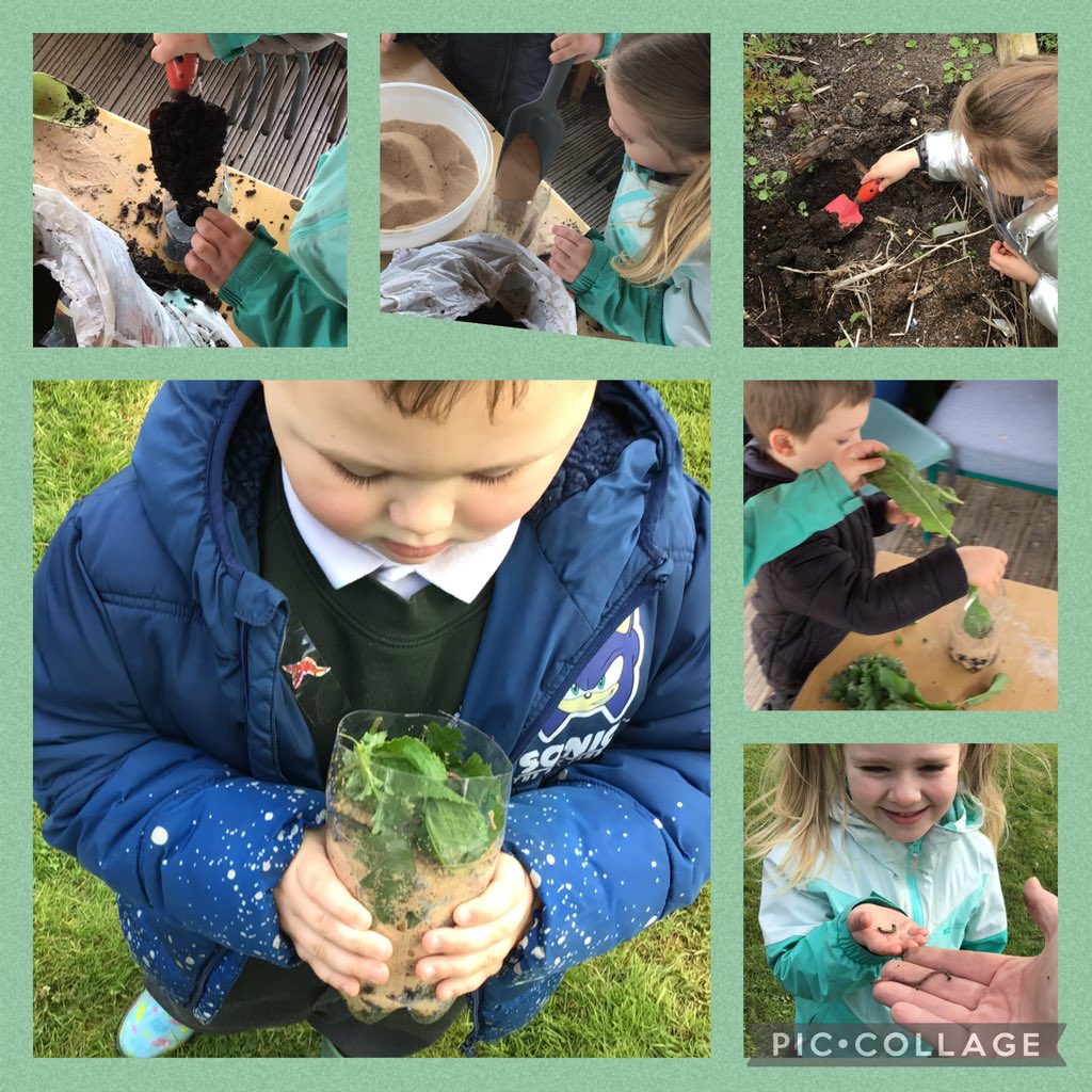 🐝s made a wormery.We made a list of what we needed, collected it & followed instructions carefully.We made layers of soil, sand & leaves & went on a worm hunt to find the worms. We are going to keep it in a dark place for a week to see what happens 🪱 @NatResWales @_OLW_ #VPEI