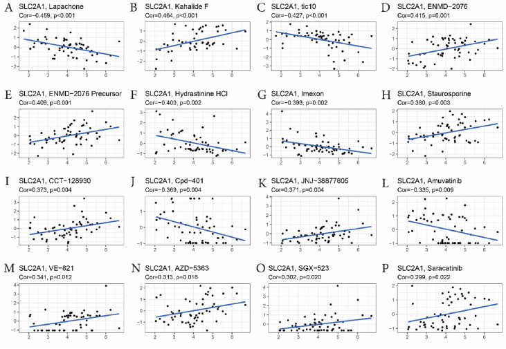 Pan-cancer analysis of SLC2A family genes as prognostic biomarkers and therapeutic targets dlvr.it/T5cxRr