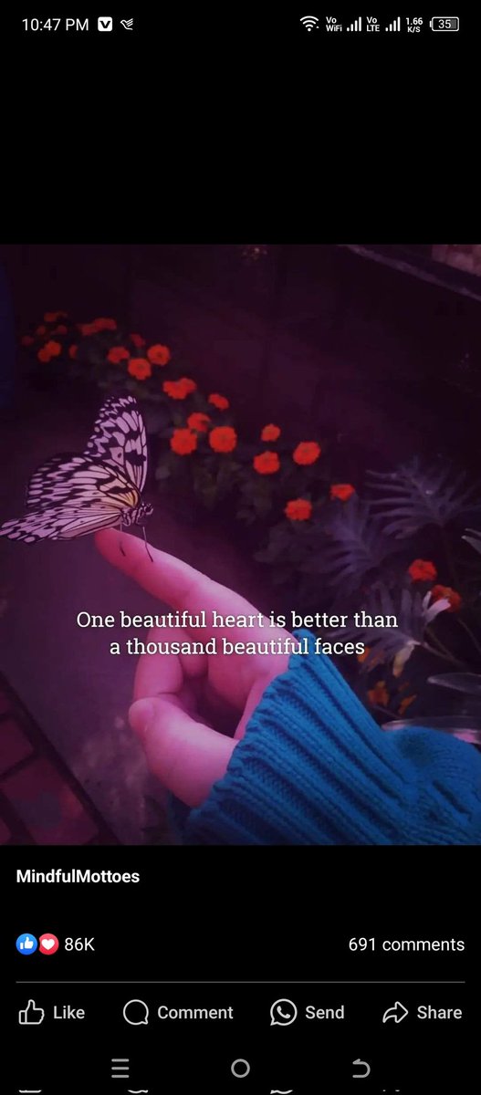 One beautiful heart is better than a thousand beautiful face ❤️
#Trending #Heart #Dubai #girl