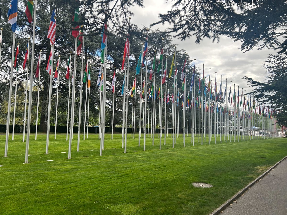 📢 We're in Geneva today! To hear from five of ten winners of an essay competition by @rethinkecon, @SDGLab & @UNCTAD on topic of valuing what counts & moving beyond GDP 🌏 📺 Tune into the live stream starting soon: youtube.com/watch?v=bbAnZF…