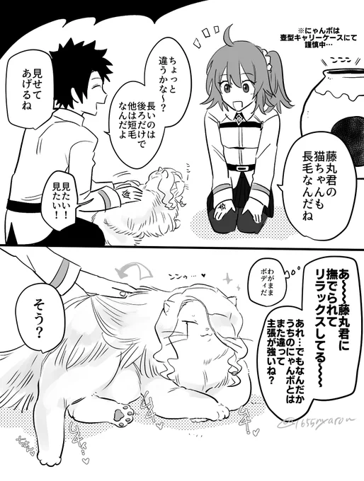 またまた続いた🐱 