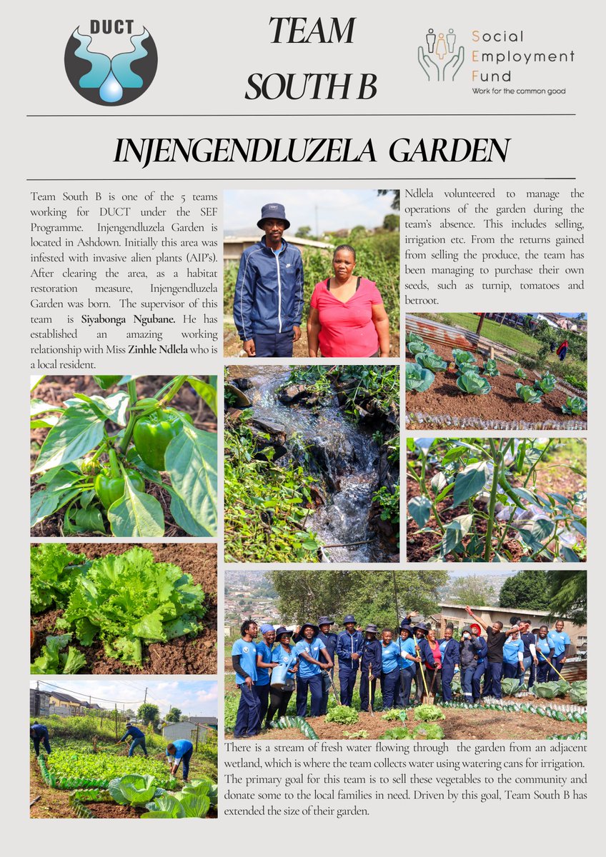 Let's celebrate the impressive work &amp; milestone from our team in Ashdown for cultivating a healthy garden after removing Alien Invasive plants and exposing a wetland. 👌🥬🍅🌱

#healthyrivershealthypeople #sef #workingforcommongood @socialemploymentfund @unicef_southafrica