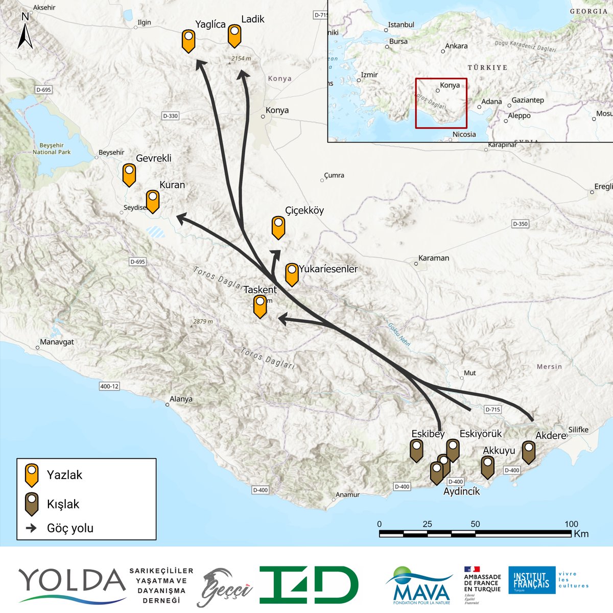 Yolda Initiative tweet media