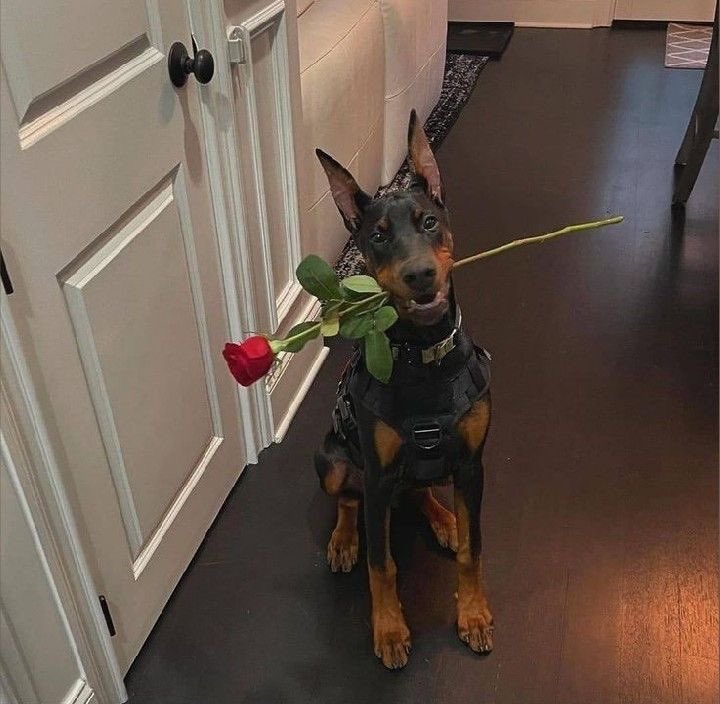 Blessed (@idblessd) on Twitter photo 