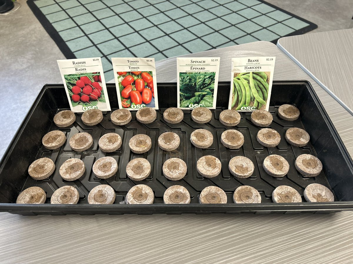 MzMousseau's tweet photo. Today we will be starting to plant our class garden. #STEgreen https://t.co/1xAiVXlxVW