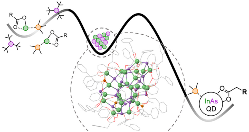 Magic sized clusters are ubiquitous intermediates in quantum dot synthesis. Brandi M. Cossairt & team @UWChemistry isolate and structurally characterize an InAs nanocluster with a composition of In26As18(O2CR)24(PR'3)3. NEW #ASAP Read it here: go.acs.org/8Wa