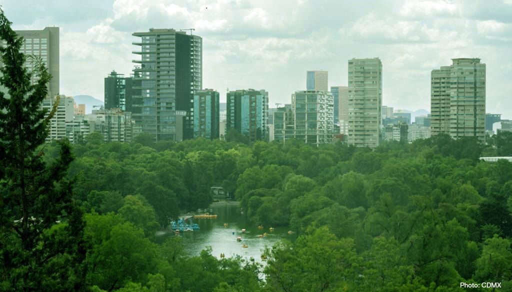 Urban #biodiversity spotlighted as IUCN Regional Conservation Forum (RCF) opens in Mexico City. A key objective of the RCF is for Members to select priorities for the next #IUCNcongress to take place in Abu Dhabi, United Arab Emirates, in October 2025. bit.ly/3xB2P45