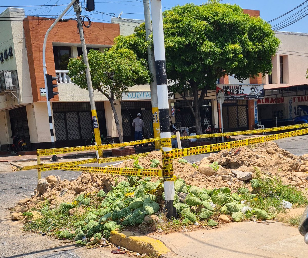 ricardoereyesl's tweet photo. Entre 100 y 120 días, es el estimado para la producción de la auyama. 
Cuidado y produce fruto esta planta, antes que tapen esta excavación. https://t.co/zCI8iWCYGv