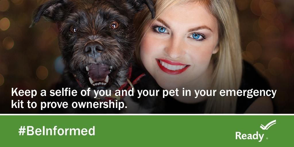 Keep that cute selfie of you & your pet in your emergency kit to prove ownership. 

#PetPreparedness #TornadoSafety
